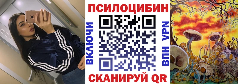 Псилоцибиновые грибы MAGIC MUSHROOMS  цены наркотик  Подпорожье 
